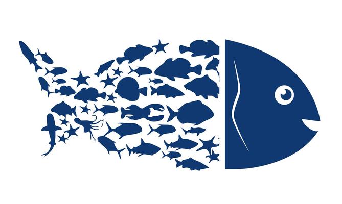 Poissonnerie Yawmi